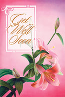 GET WELL LILY
