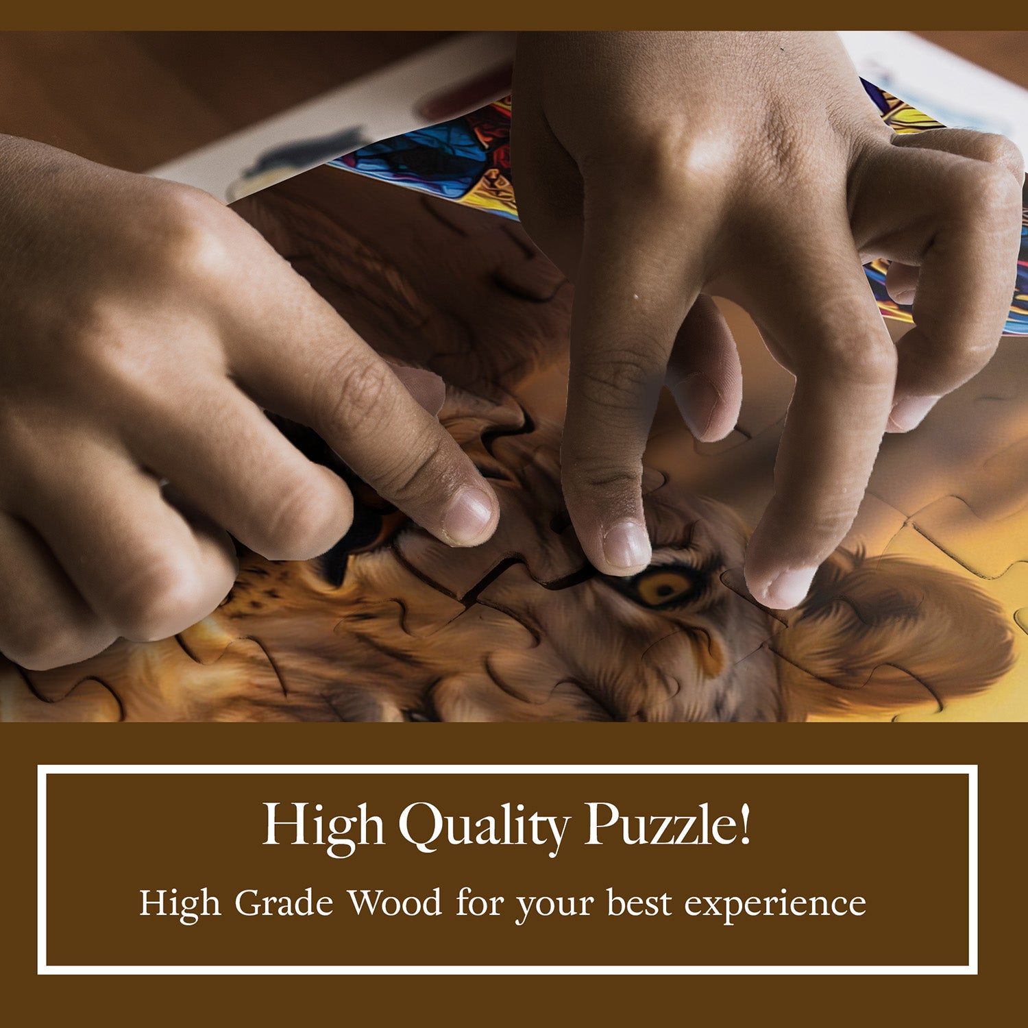 Lioness Puzzle NEW!