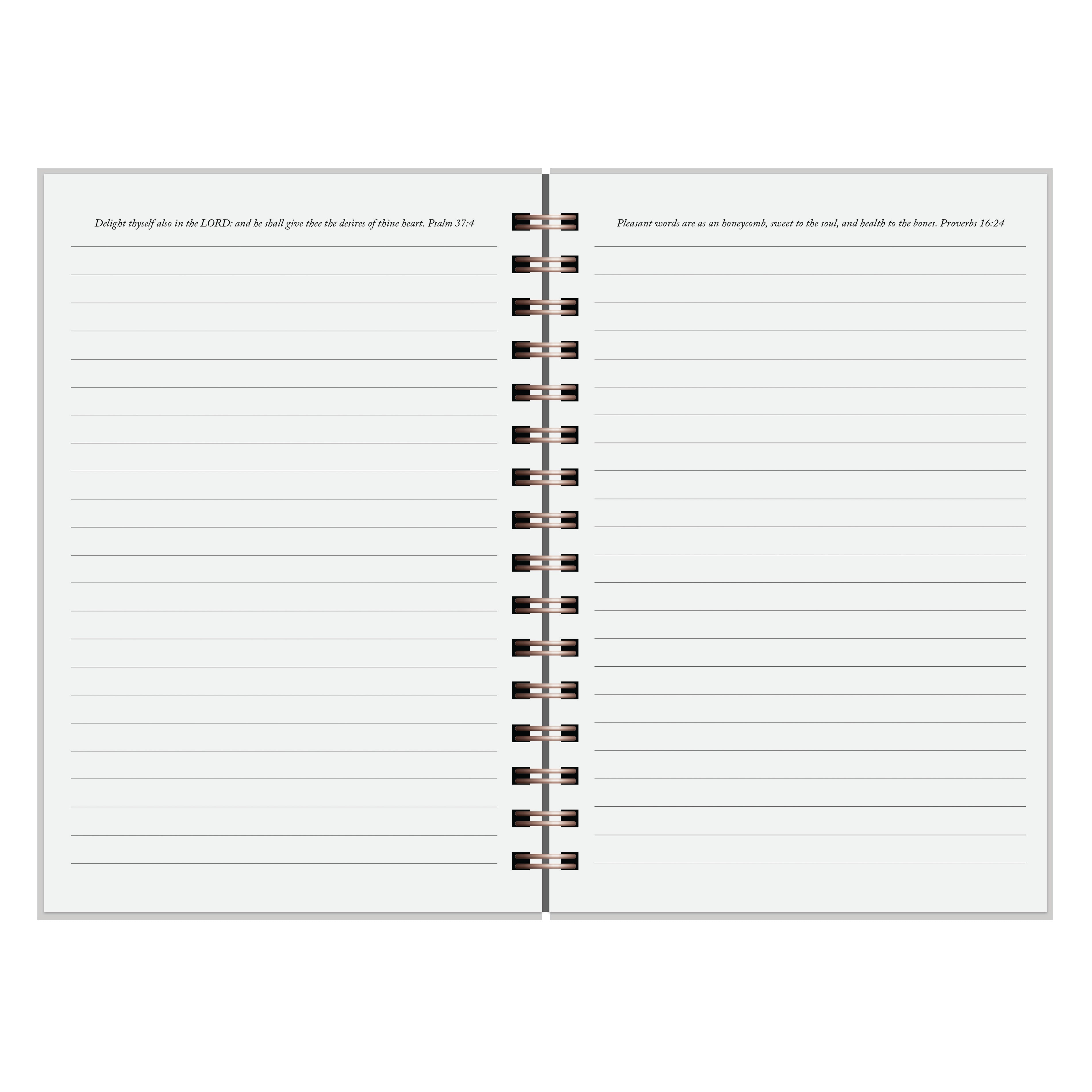 Potential to Purpose Journal